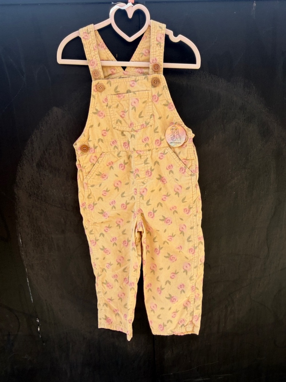 2-3 T wild Wawa Girls Yellow Floral Corduroy Overalls